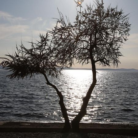 Villa Punta Zara Esterno foto