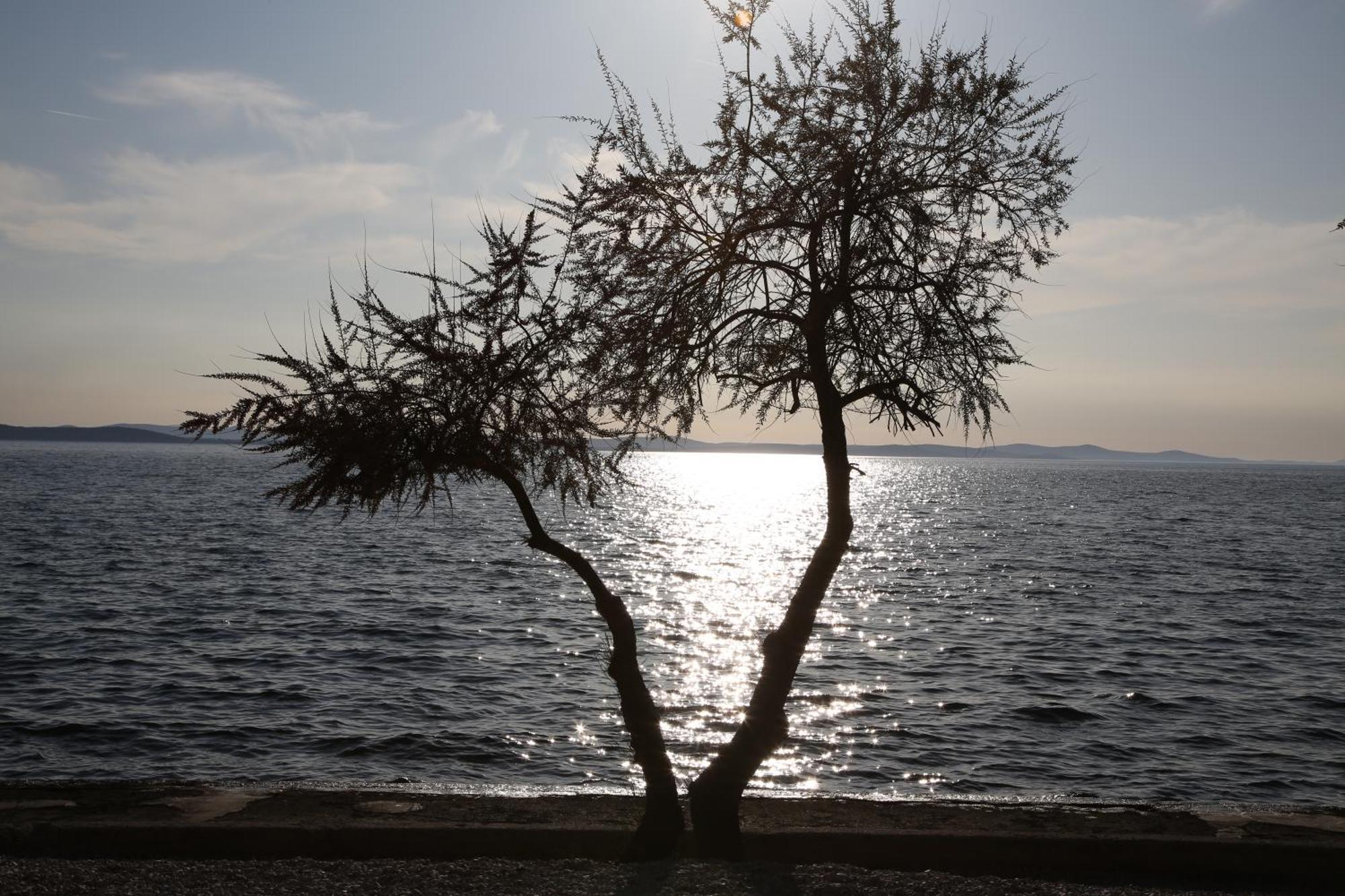 Villa Punta Zara Esterno foto